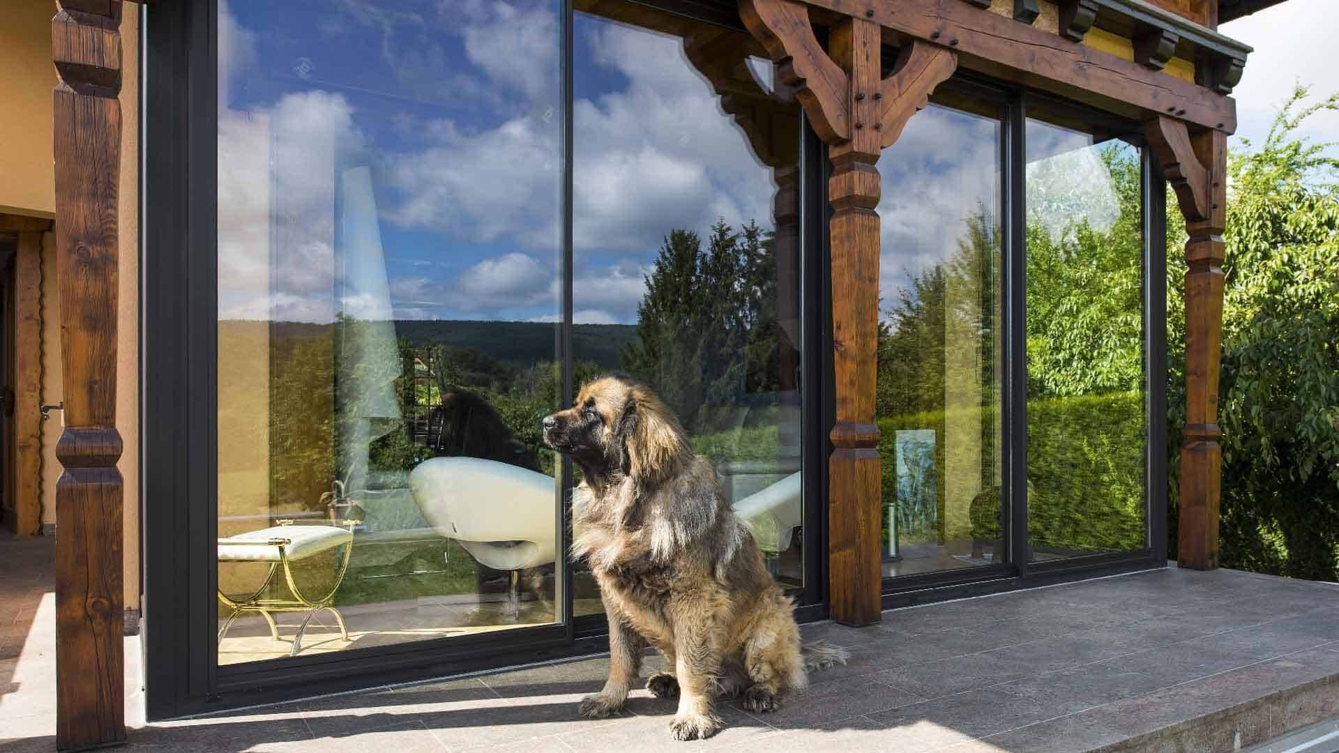 veranda-salon-baie-vitree-bois-salon