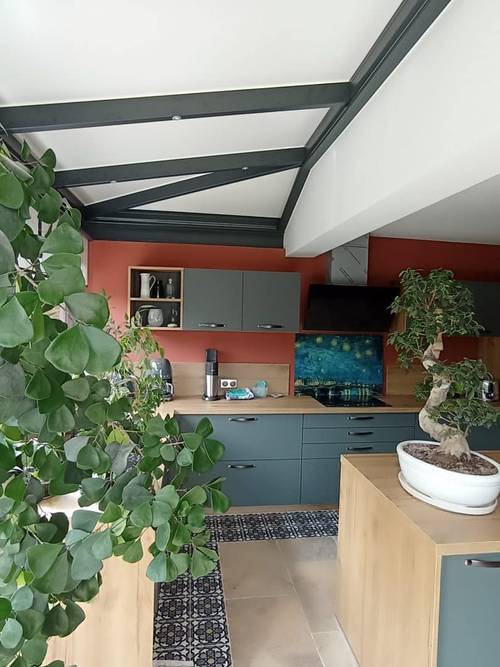 Extension de cuisine Cuisine moderne sous véranda avec plafond en poutres apparentes et plantes ornées